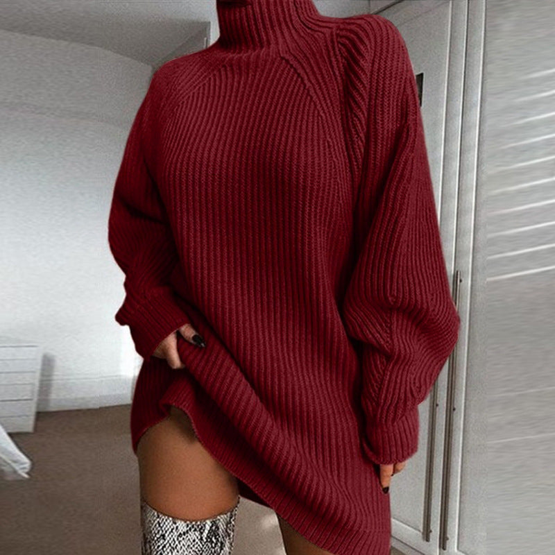 Warm Winter Dress