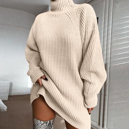 Warm Winter Dress
